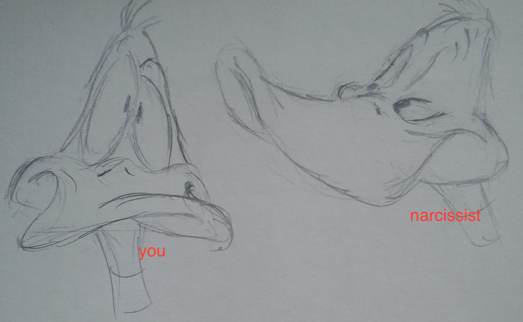 cartoon sketches of Daffy Duck