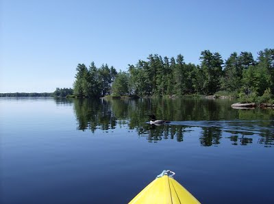 photo of kayak and loon